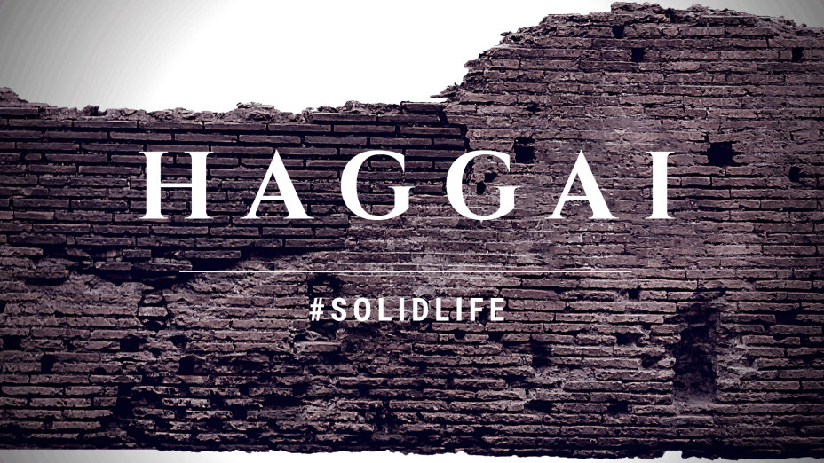 #solidlife
